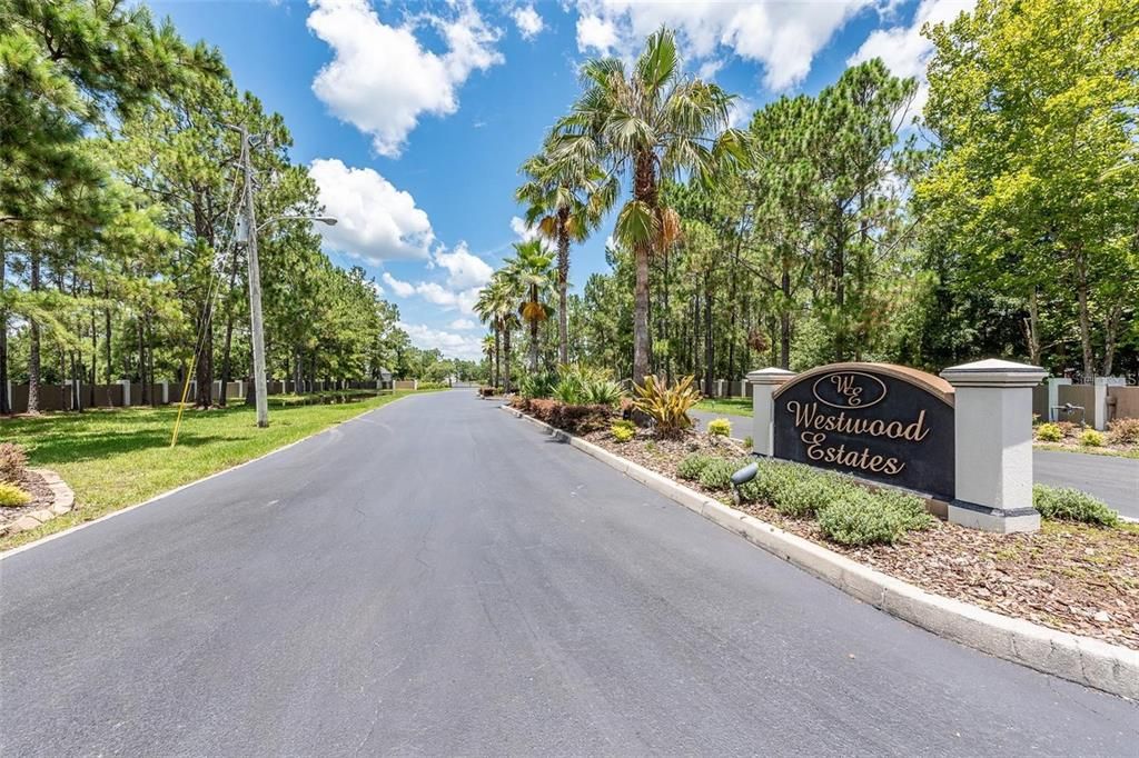 На продажу: $249,000 (3.18 acres)