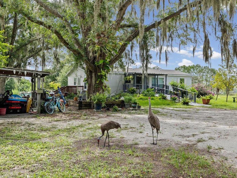 Activo con contrato: $315,000 (3 camas, 2 baños, 1296 Pies cuadrados)