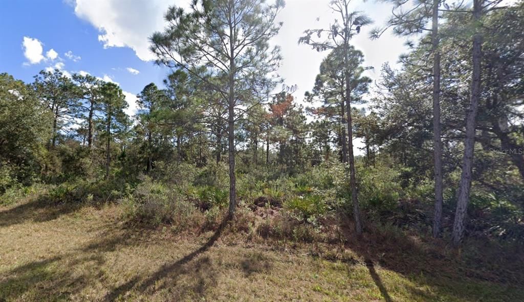 En Venta: $15,000 (0.50 acres)