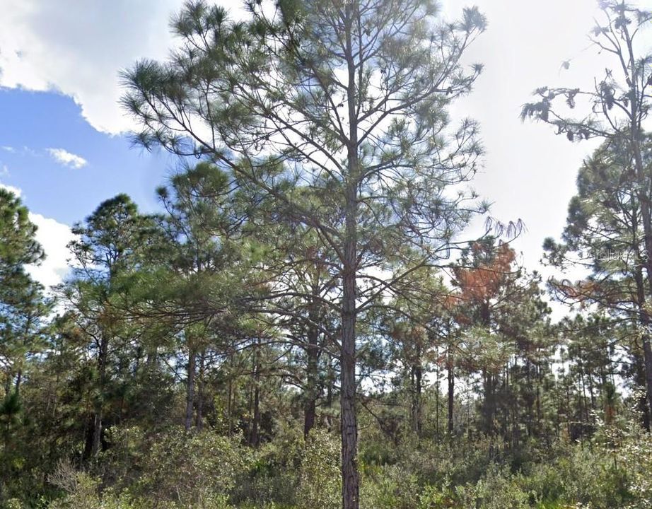 En Venta: $15,000 (0.50 acres)