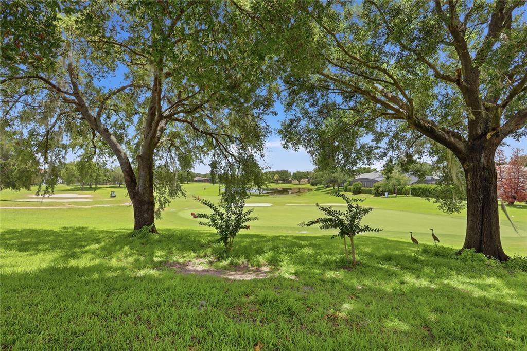 En Venta: $475,000 (3 camas, 2 baños, 2175 Pies cuadrados)