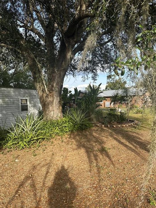 For Sale: $311,000 (3 beds, 2 baths, 1321 Square Feet)