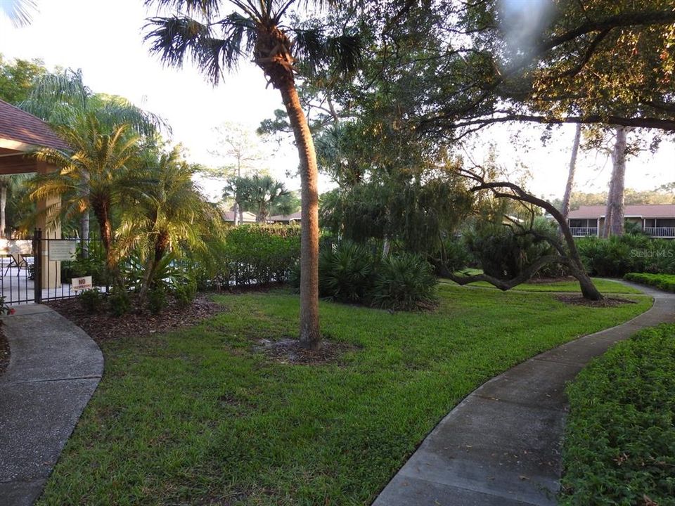 For Sale: $155,000 (1 beds, 1 baths, 800 Square Feet)