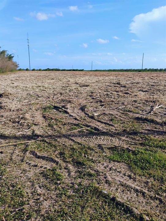 待售: $159,000 (5.20 acres)