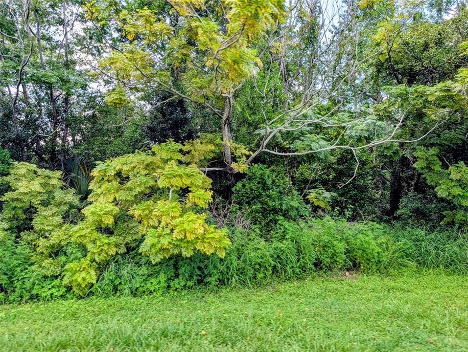 На продажу: $75,000 (3.20 acres)