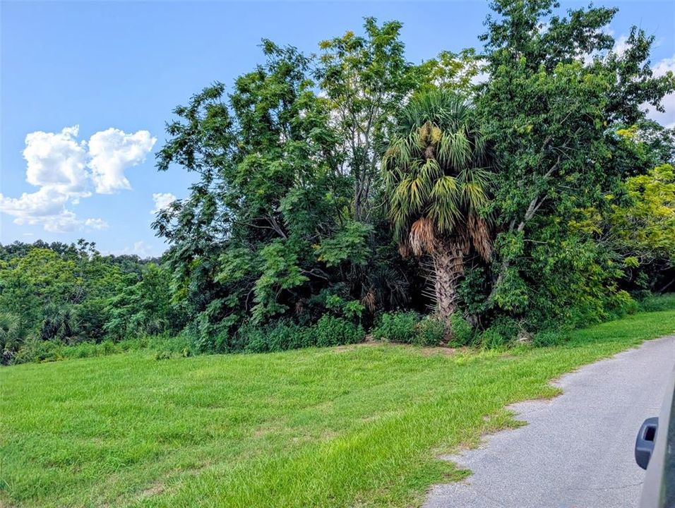 На продажу: $75,000 (3.20 acres)