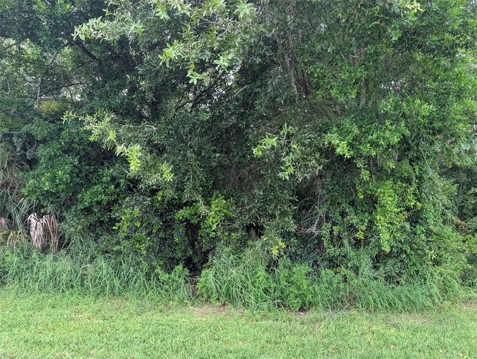 На продажу: $75,000 (3.20 acres)