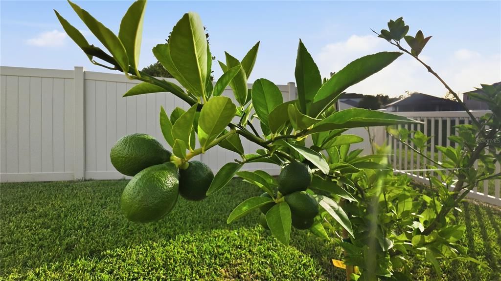 На продажу: $410,000 (4 спален, 3 ванн, 2205 Квадратных фут)