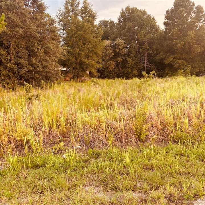 Activo con contrato: $30,000 (0.24 acres)