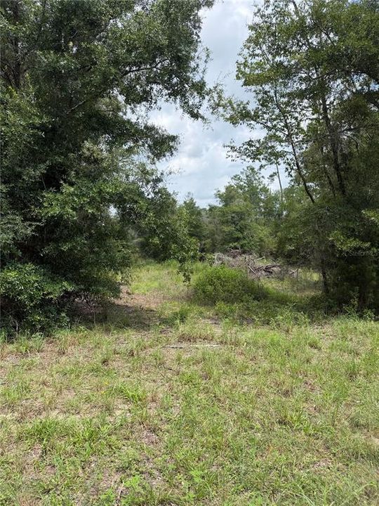 En Venta: $39,900 (1.40 acres)