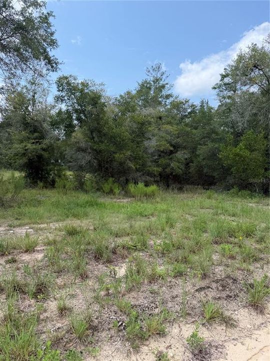 En Venta: $39,900 (1.40 acres)