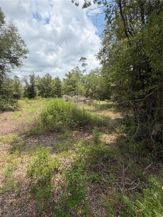 En Venta: $39,900 (1.40 acres)