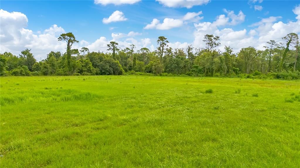 En Venta: $3,600,000 (6.73 acres)