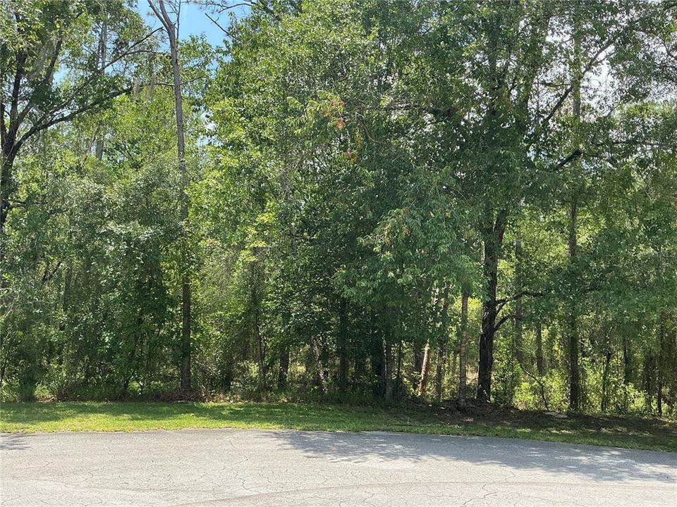 For Sale: $30,000 (1.10 acres)