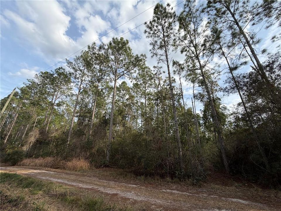 For Sale: $55,000 (3.00 acres)