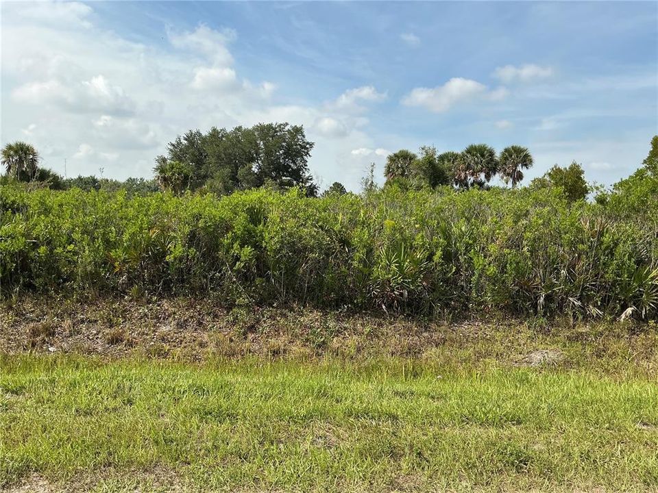 待售: $31,000 (1.50 acres)
