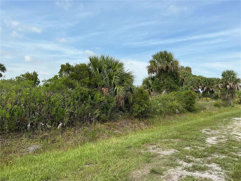 待售: $31,000 (1.50 acres)