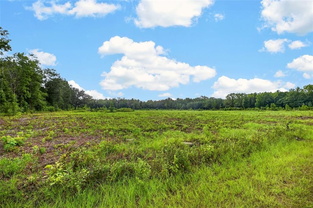 For Sale: $250,000 (10.00 acres)