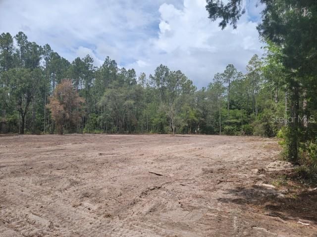 En Venta: $65,000 (1.78 acres)