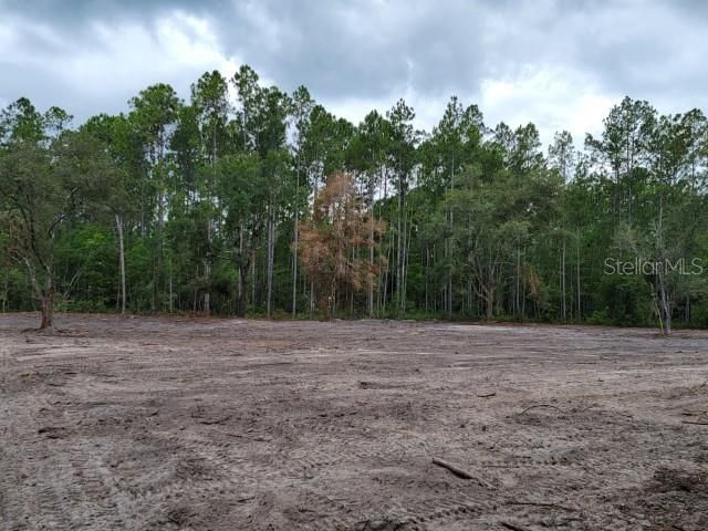 En Venta: $65,000 (1.78 acres)