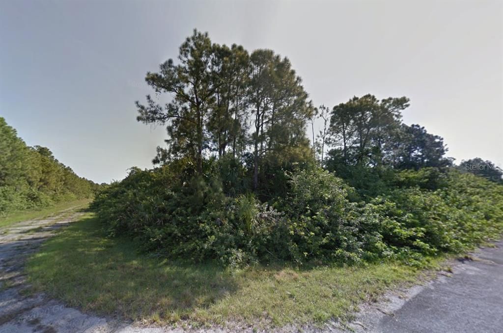 For Sale: $11,499 (0.29 acres)