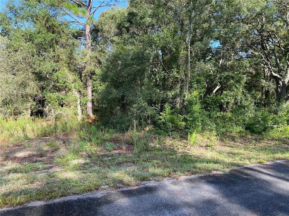 待售: $35,500 (1.00 acres)