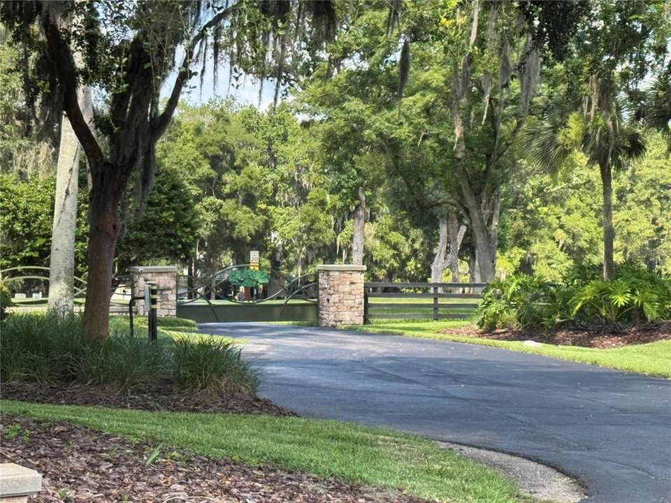 For Sale: $295,000 (3.00 acres)