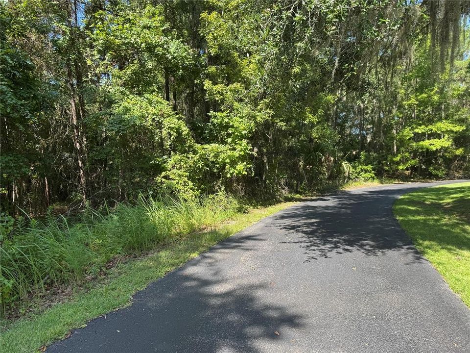 For Sale: $295,000 (3.00 acres)