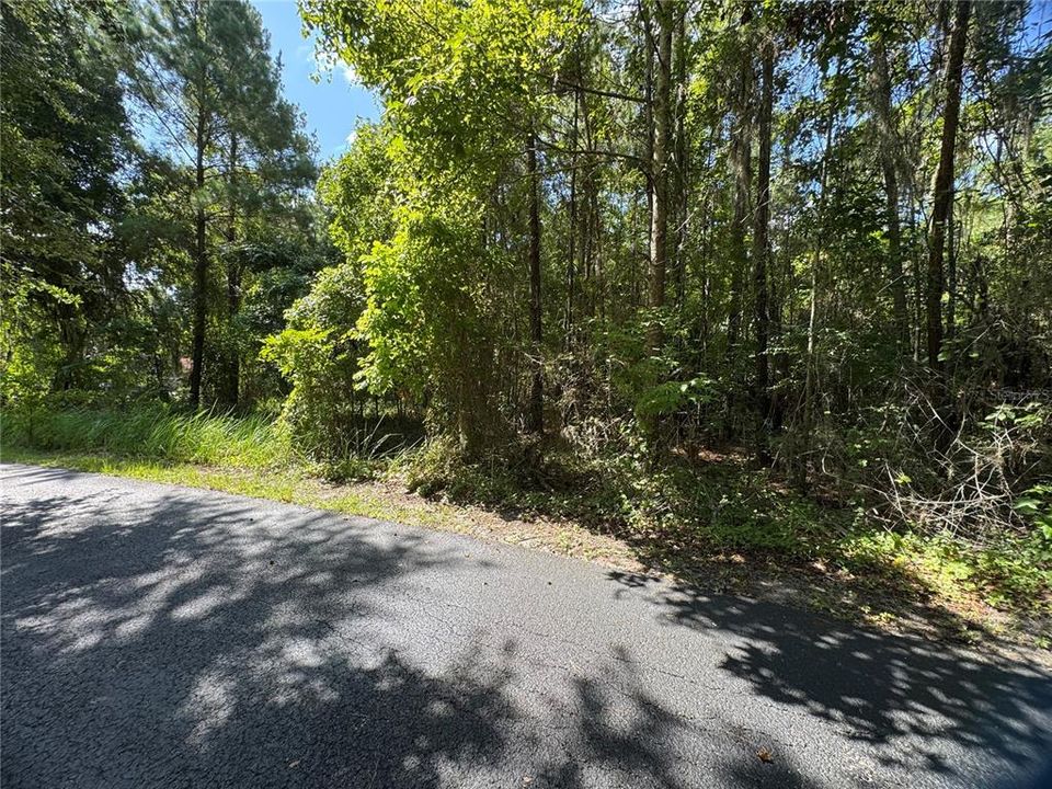 For Sale: $295,000 (3.00 acres)