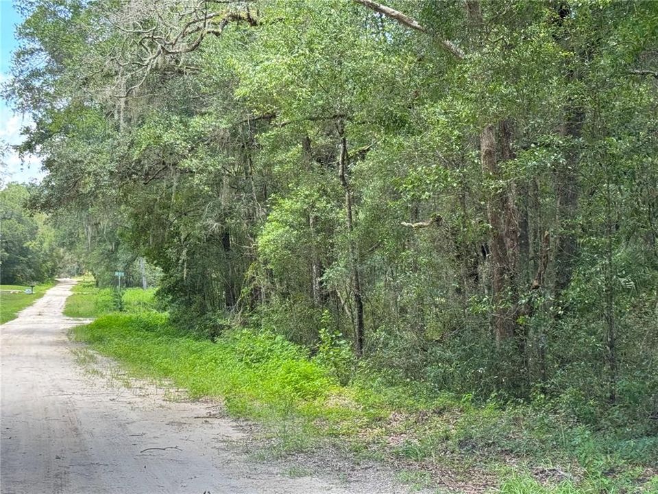 待售: $139,000 (1.42 acres)