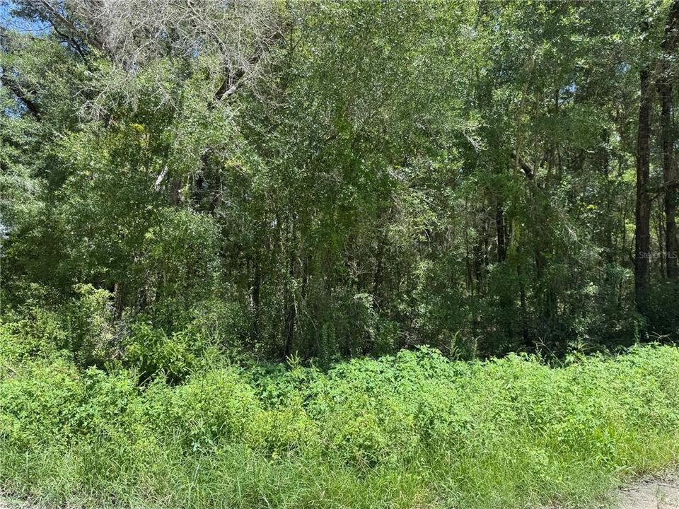 待售: $139,000 (1.42 acres)