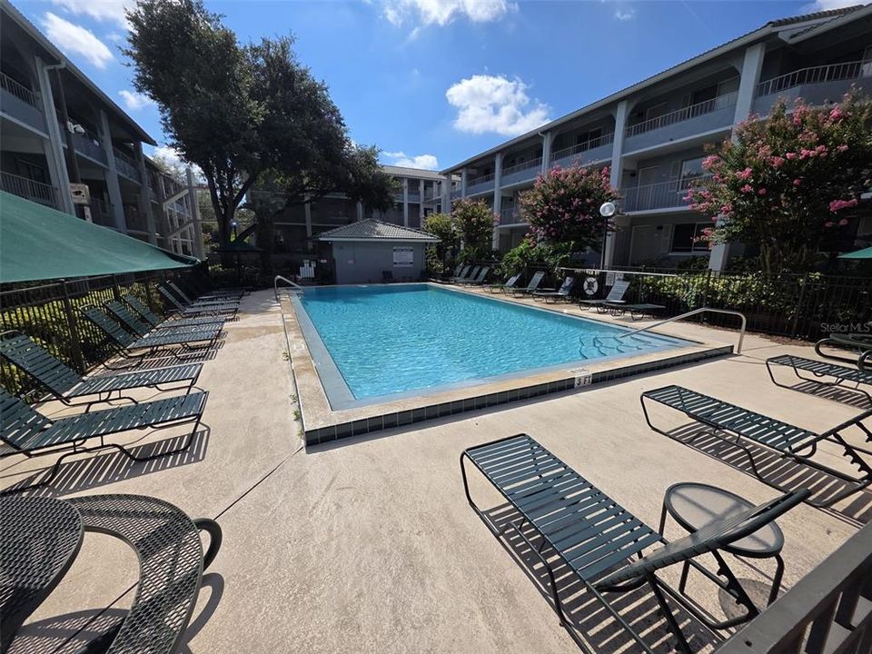For Rent: $1,100 (1 beds, 1 baths, 496 Square Feet)