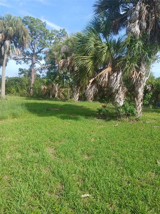 En Venta: $160,000 (0.24 acres)