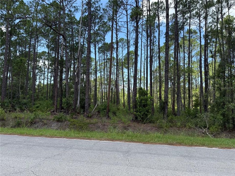 En Venta: $36,900 (1.11 acres)