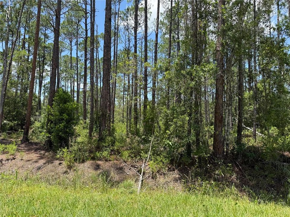En Venta: $36,900 (1.11 acres)