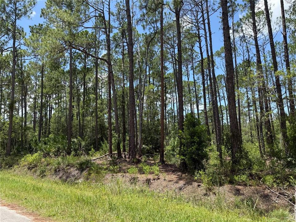 En Venta: $36,900 (1.11 acres)