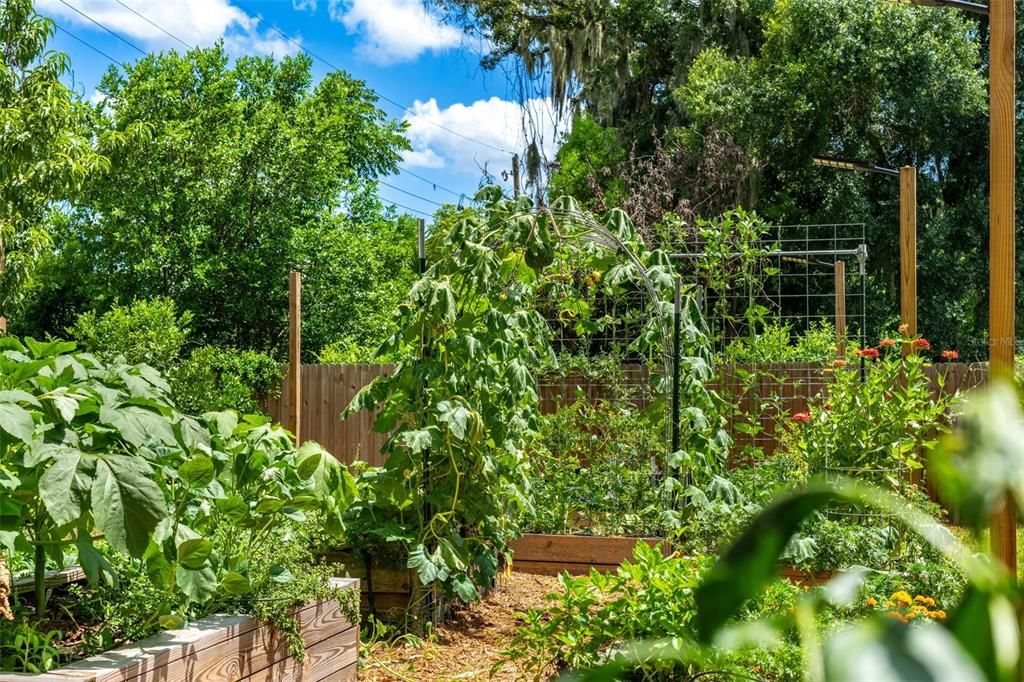 На продажу: $435,000 (4 спален, 3 ванн, 1648 Квадратных фут)