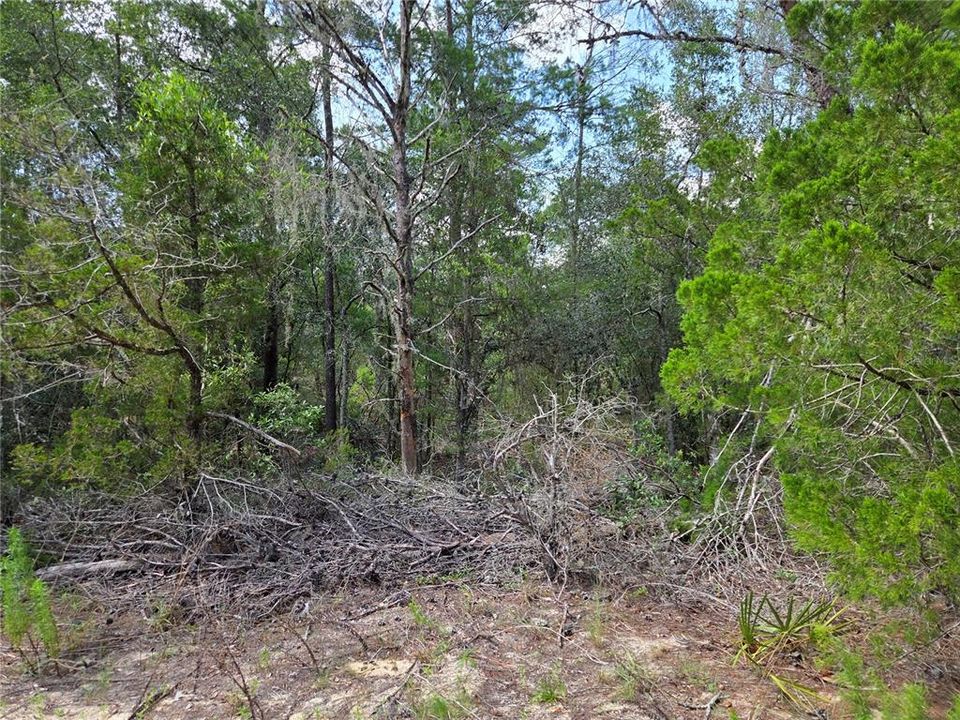 En Venta: $13,500 (1.25 acres)