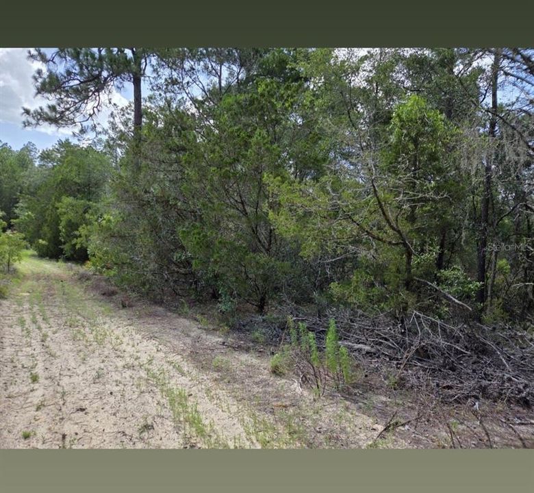En Venta: $13,500 (1.25 acres)