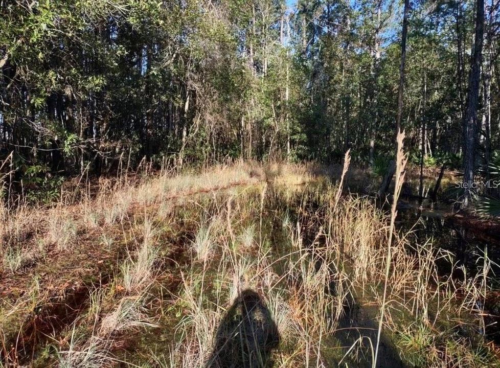 На продажу: $50,000 (5.23 acres)