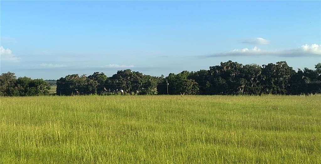 待售: $750,000 (12.00 acres)