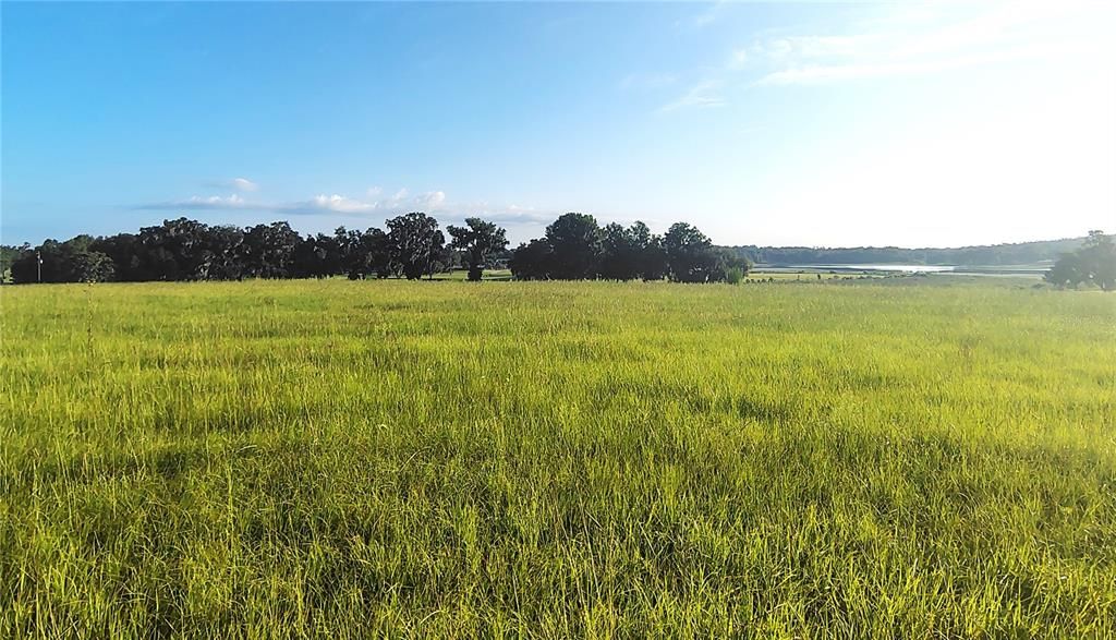 待售: $750,000 (12.00 acres)