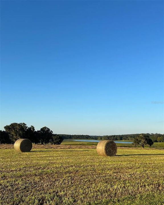 待售: $750,000 (12.00 acres)