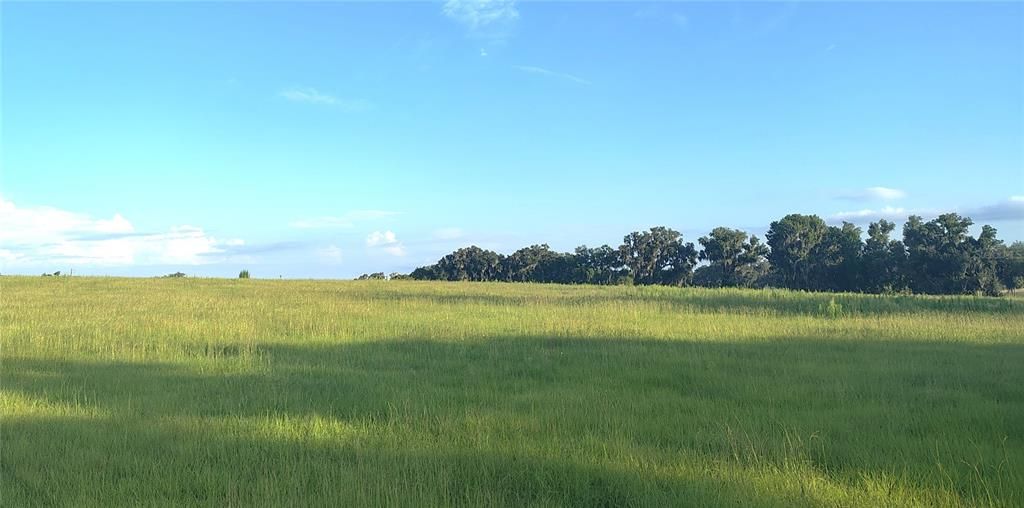 待售: $750,000 (12.00 acres)