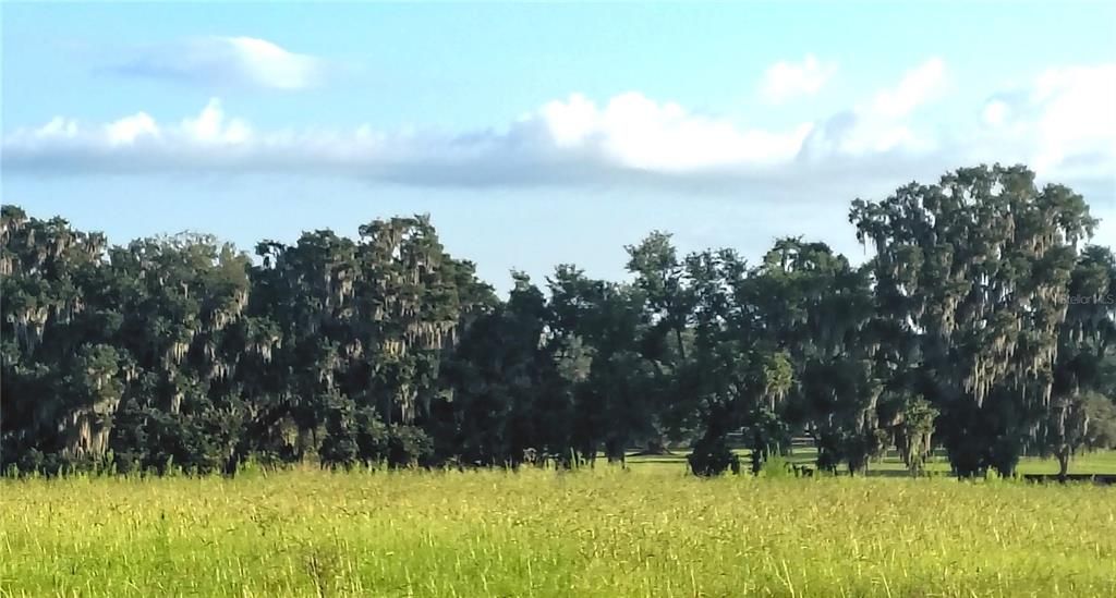 待售: $750,000 (12.00 acres)