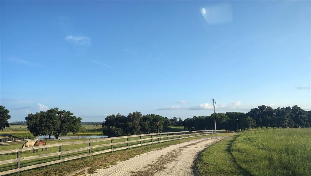待售: $750,000 (12.00 acres)