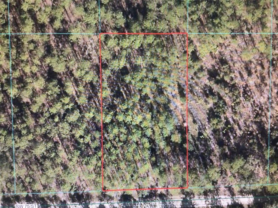 En Venta: $78,500 (1.16 acres)