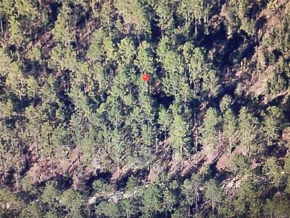 En Venta: $78,500 (1.16 acres)