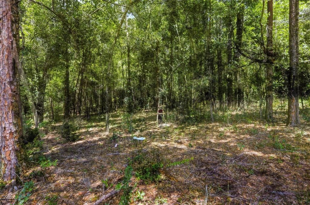 For Sale: $199,900 (2.50 acres)