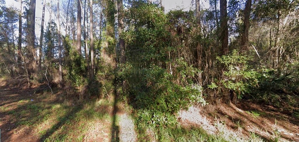 На продажу: $14,000 (0.62 acres)